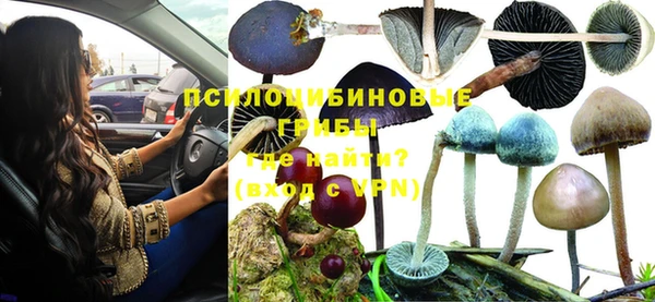 МДПВ Магадан