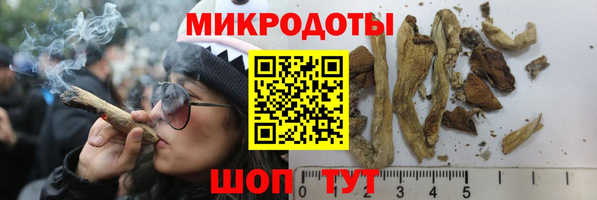 Галлюциногенные грибы мухоморы Тюмень